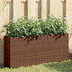 Vidaxx jardinières avec 2 pots 2 pcs 90x20x40 cm poly rotin marron