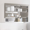 vidaXL Armoire murale de cuisine avec étagères en acier inoxydable