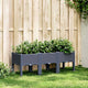 Boîte de planification Vidaxl avec des jambes 120x40x42 cm Gray en polypropène