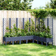 Jardinière Vidaxl avec scolarisé 200x160x142 cm Gray en polypropène