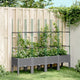 Vidaxl Plannet avec des lattes 160x40x142.5 cm Gris clair en polypropène