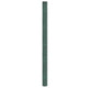 Vidaxl Carrot Tissu 2x100 m Green en polypropène