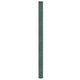 Vidaxl Carrot Tissu 2x150 m Green en polypropène