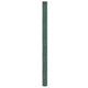 Vidaxl Carrot Tissu 2x200 m Green en polypropène