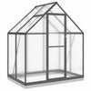 Vidaxl Tuinkas avec cadre de base 169x114x202 cm Couleur d'anthracite en aluminium