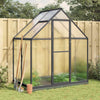Vidaxl Tuinkas avec cadre de base 169x114x202 cm Couleur d'anthracite en aluminium