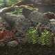 Vidaxl Lava Stones 25 kg 10-30 cm noir