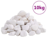 Vidaxl galets polis 2-5 cm 10 kg blanc - afbeelding 2