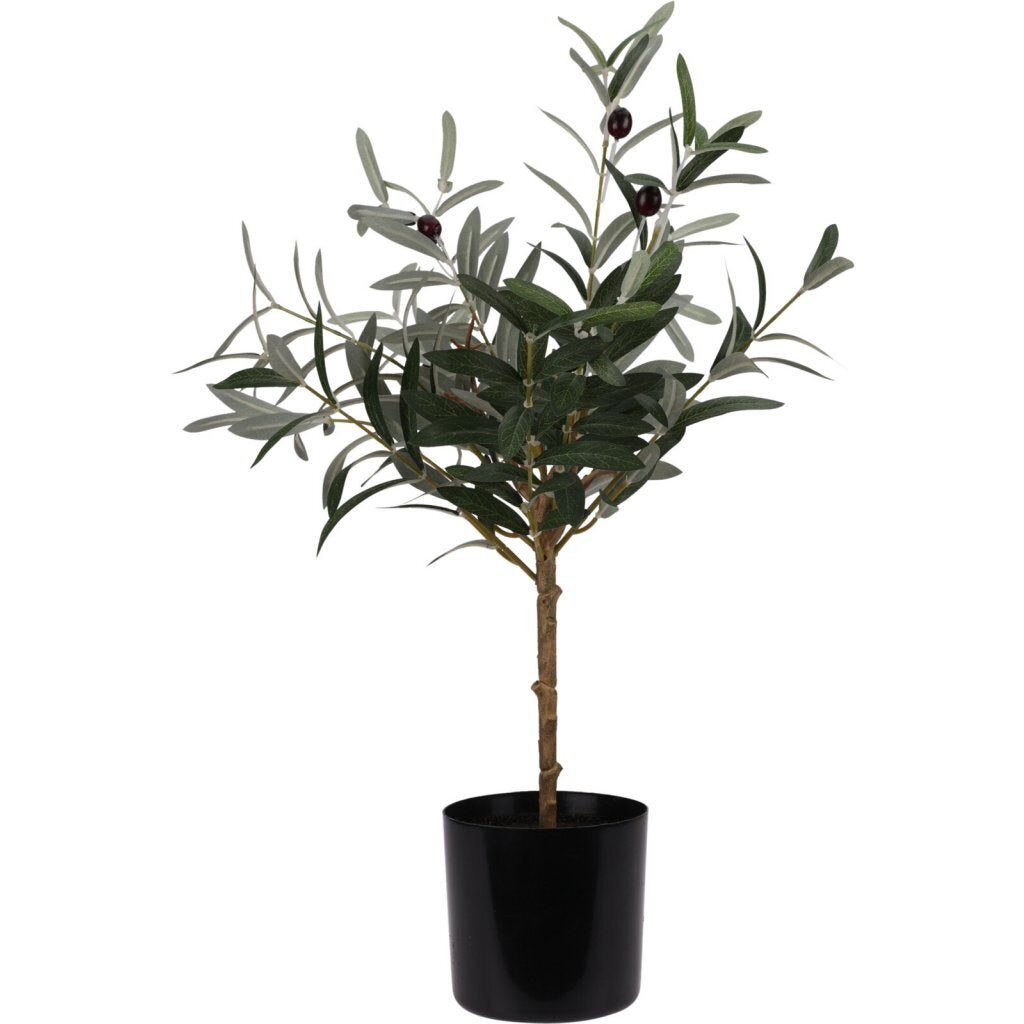 Autres marques plante artificielle olivier 45x66 cm vert