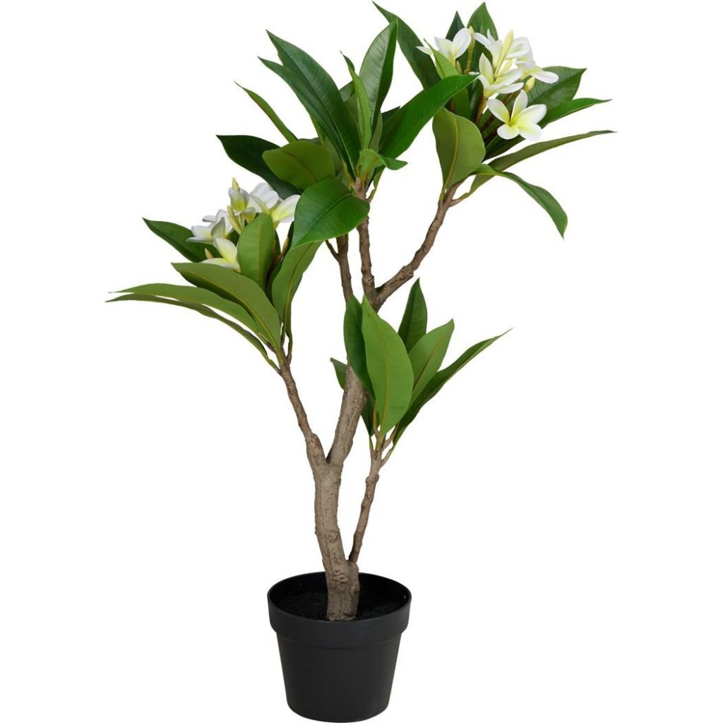 Autres marques plante artificielle plumeria 50x90 cm blanc vert
