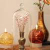 Idées pour les saisons grande cloche en verre avec bouton ø13xh30cm