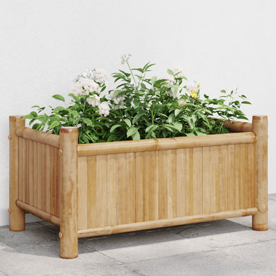 Boîte de planification Vidaxl 50x30x25 cm bambou