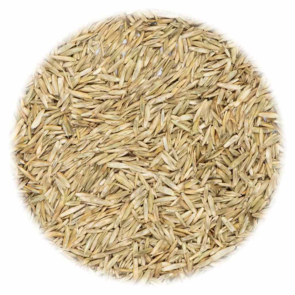Vidaxl Grass Seed 5 kg