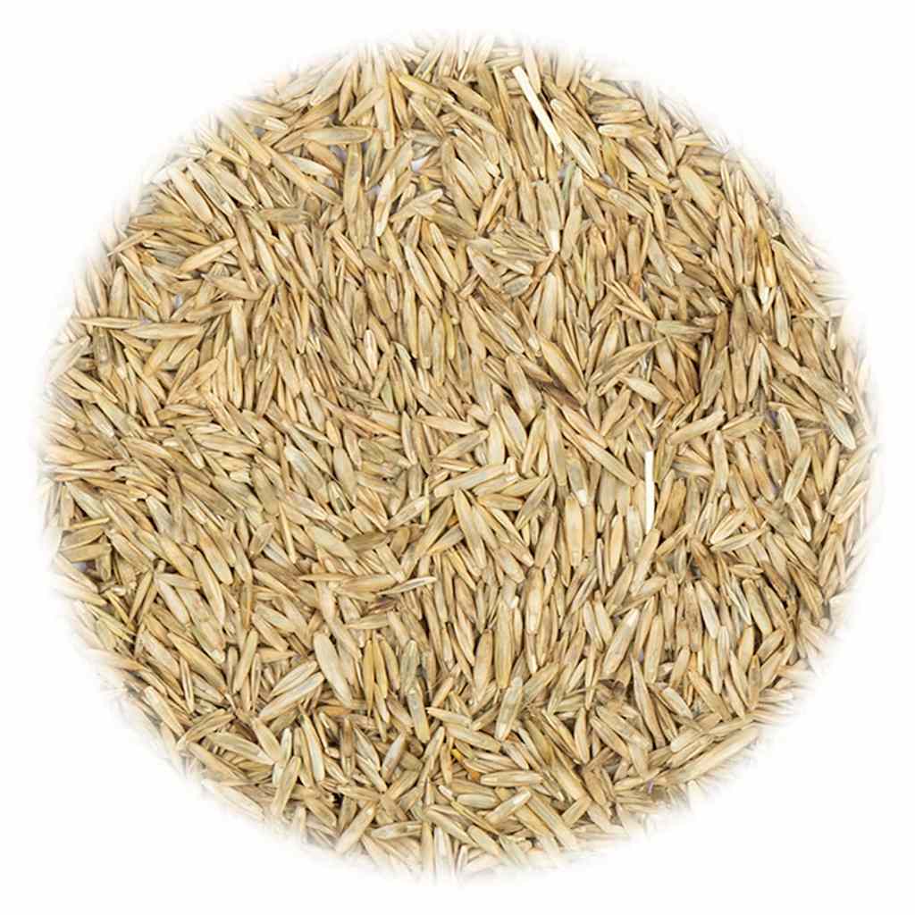 Graines de l'herbe vidaxl pour la sécheresse et chauffer 5 kg