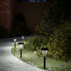 Vidaxl Garden Path Lighting 12 ST Solar avec broches moulues blanches