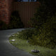 Vidaxl Ground Lampes 4 St Solar avec des broches moulues blancs chauds