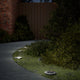 Vidaxl Ground Lampes 12 ST Solar avec des broches moulues blancs chauds