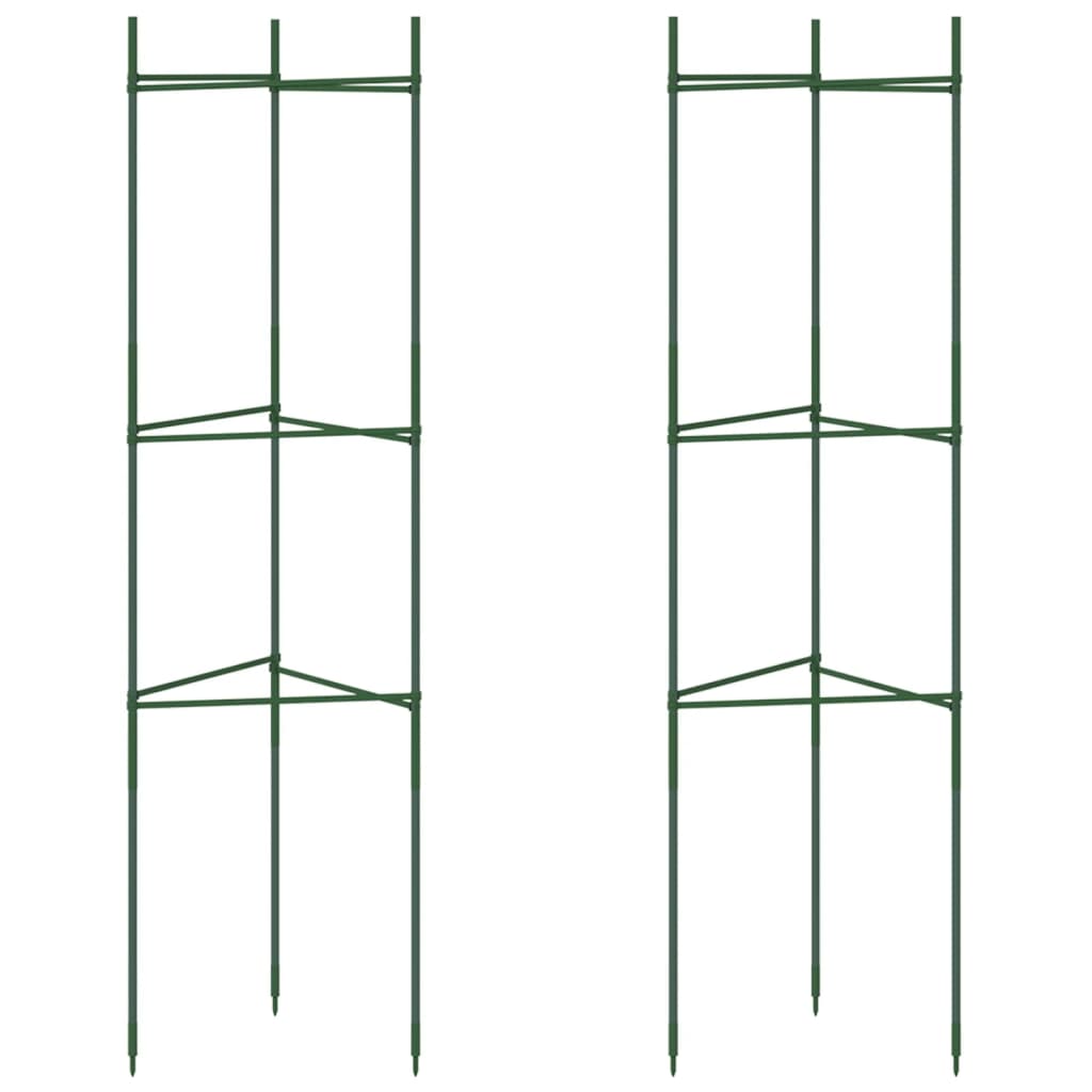 Vidaxl Tomates Cage 2 ST 116 cm en acier et en polypropène
