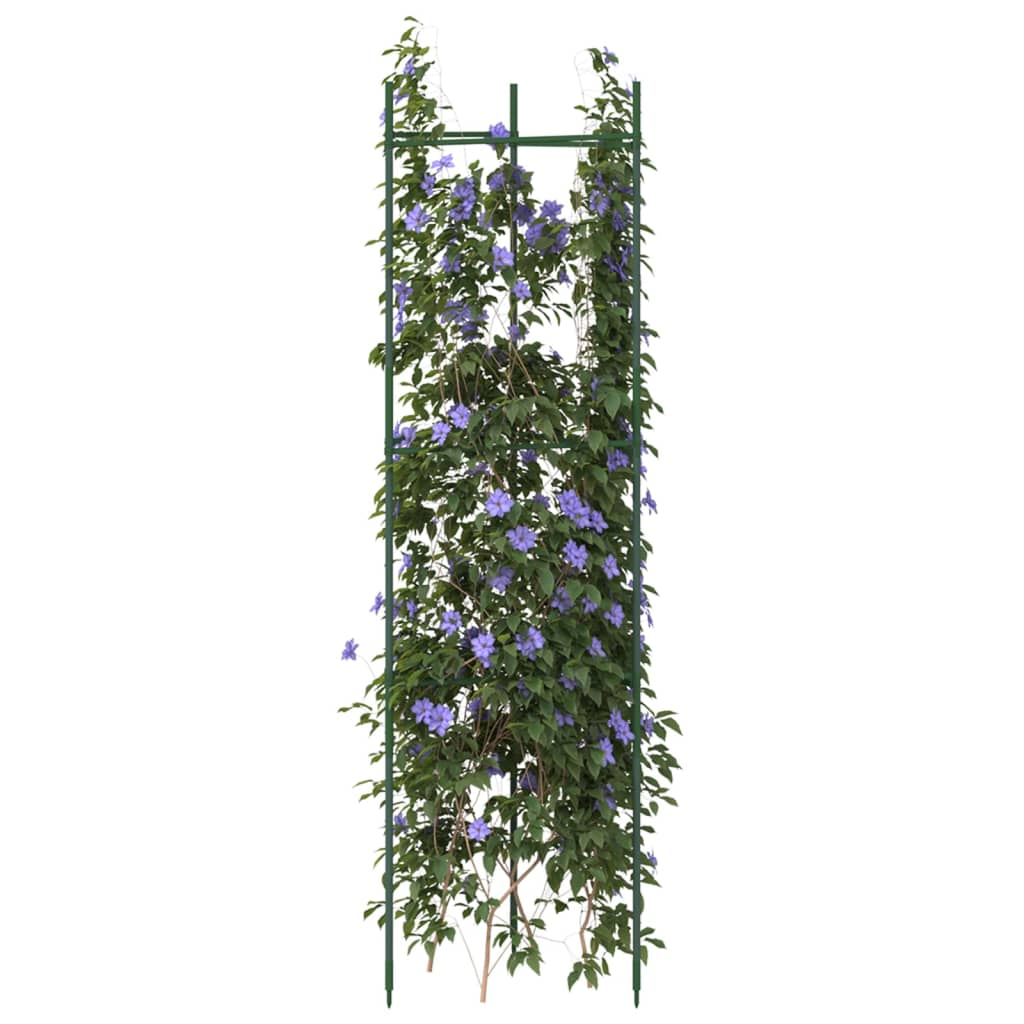 Vidaxl Tomates Cage 2 ST 116 cm en acier et en polypropène