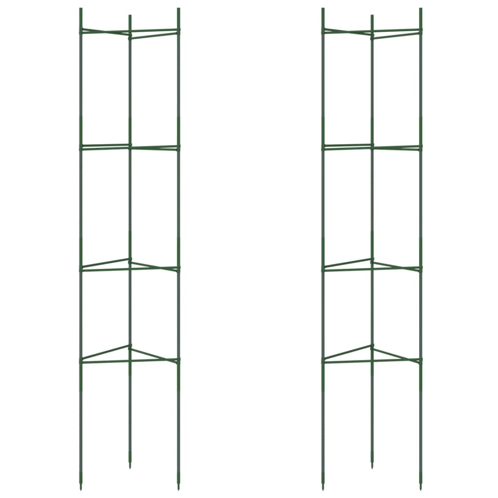 Vidaxl Tomate Cage 2 ST 154 cm en acier et polypropène