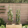 Vidaxl Tomate Cage 2 ST 154 cm en acier et polypropène