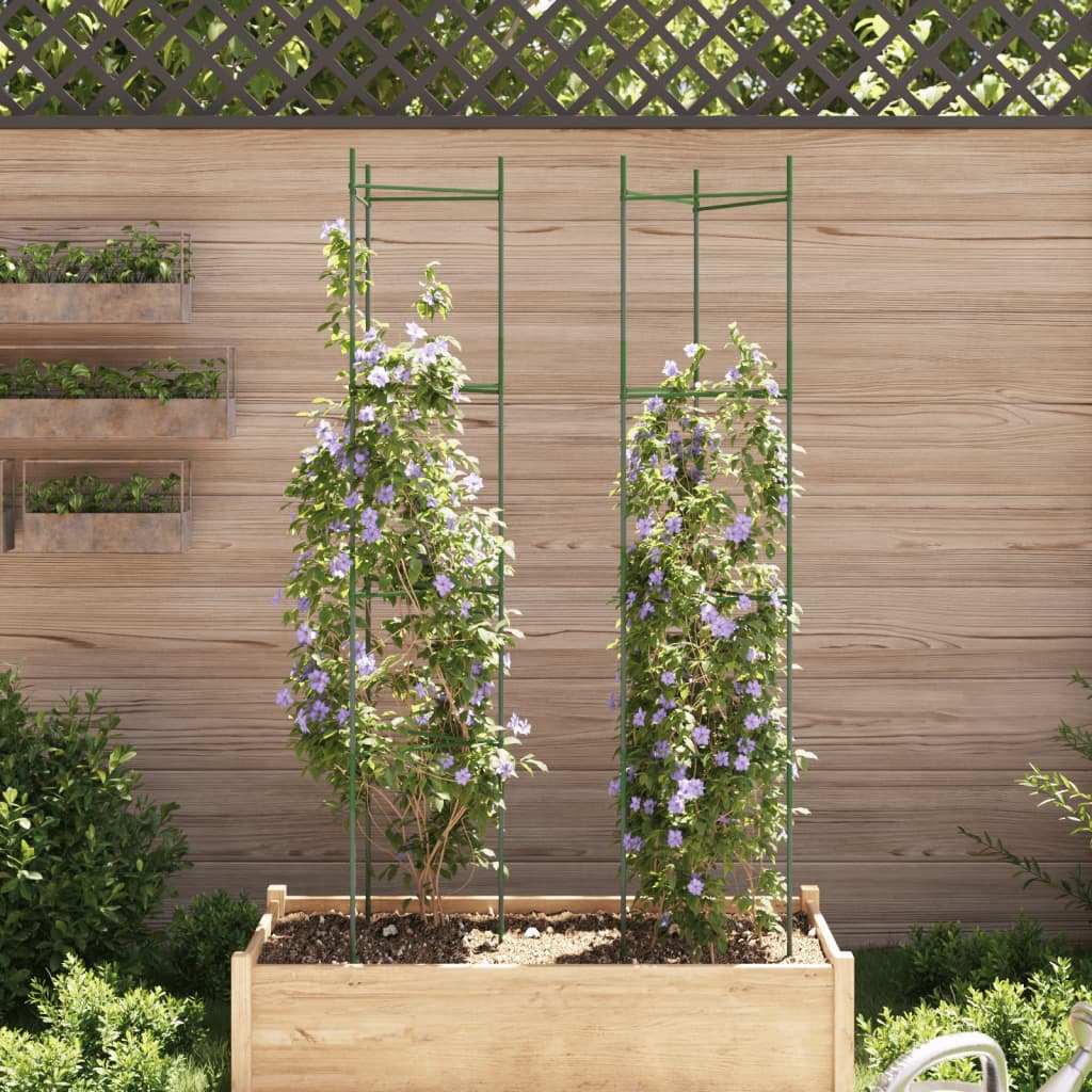 Vidaxl Tomate Cage 2 ST 154 cm en acier et polypropène