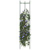 Vidaxl Tomate Cage 2 ST 154 cm en acier et polypropène