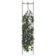 Vidaxl Tomate Cage 2 ST 154 cm en acier et polypropène