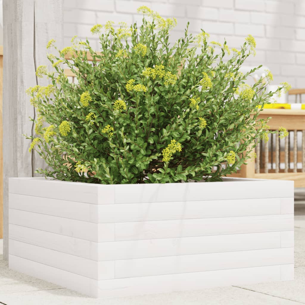 Boîte de planification Vidaxl 50x50x23 cm en pin solide blanc