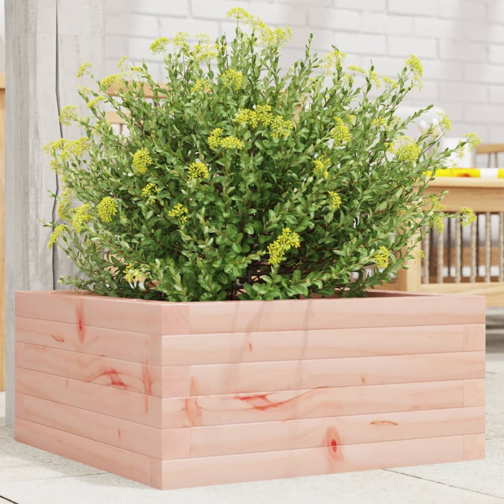 Vidaxl Planning Box 50x50x23 cm Douglashout solide