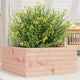 Vidaxl Planning Box 50x50x23 cm Douglashout solide