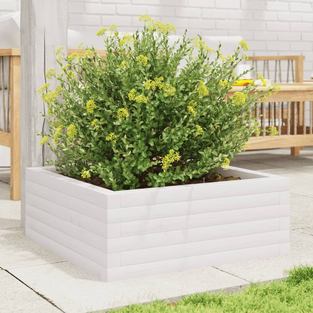 Vidaxl Planning Box 60x60x23 cm Pine solide blanc
