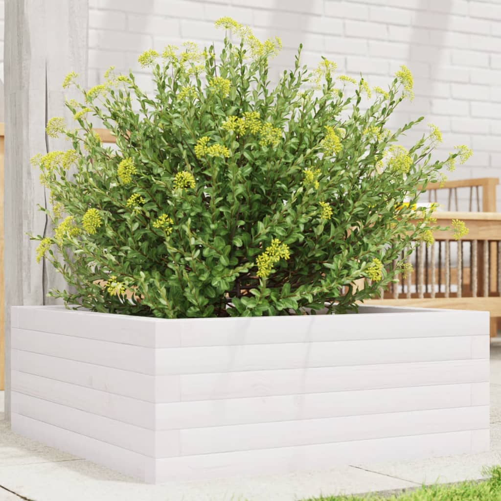 Vidaxl Planning Box 60x60x23 cm Pine solide blanc