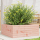 Vidaxl Planning Box 60x60x23 cm solide Douglashout