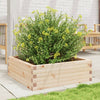 Boîte de planification Vidaxl 70x70x23 cm Pine solide