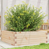 Boîte de planification Vidaxl 70x70x23 cm Pine solide