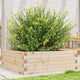 Boîte de planification Vidaxl 70x70x23 cm Pine solide