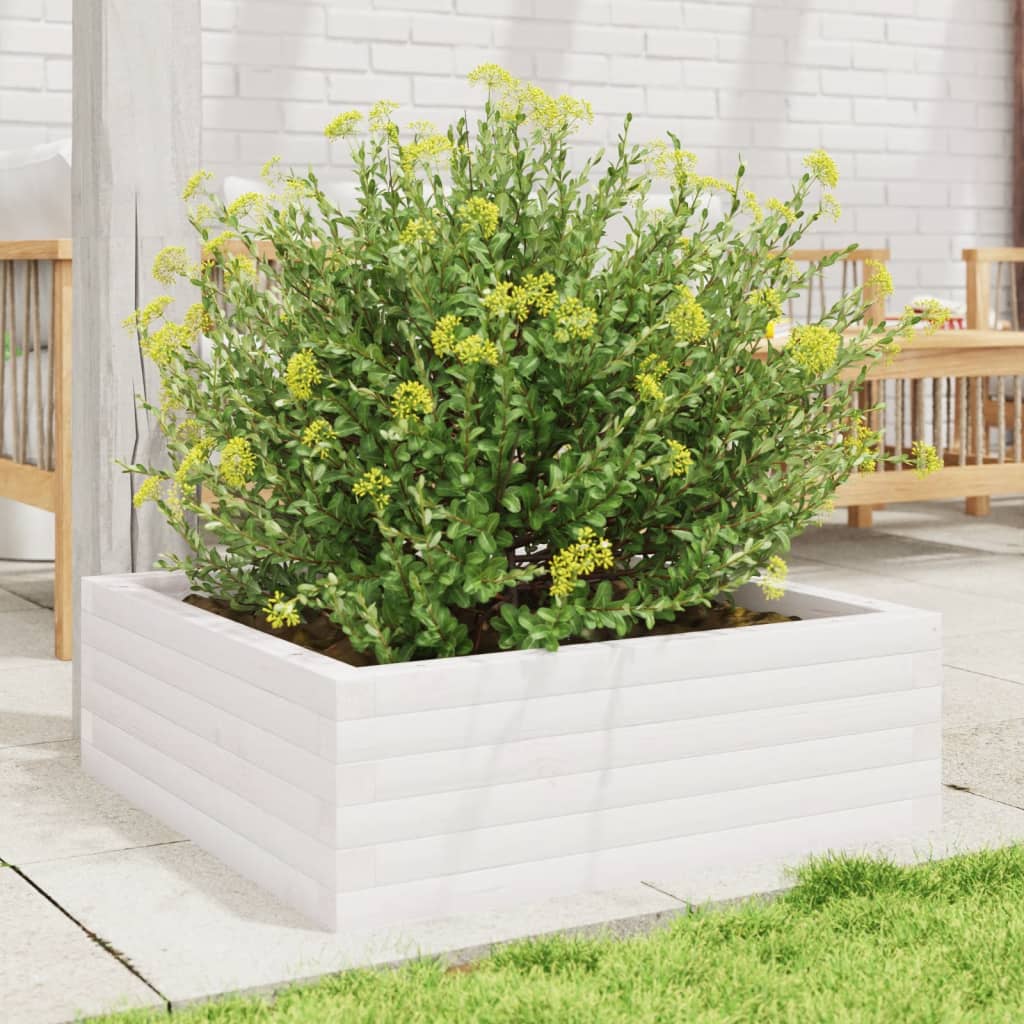Vidaxl Planning Box 70x70x23 cm Pine solide blanc