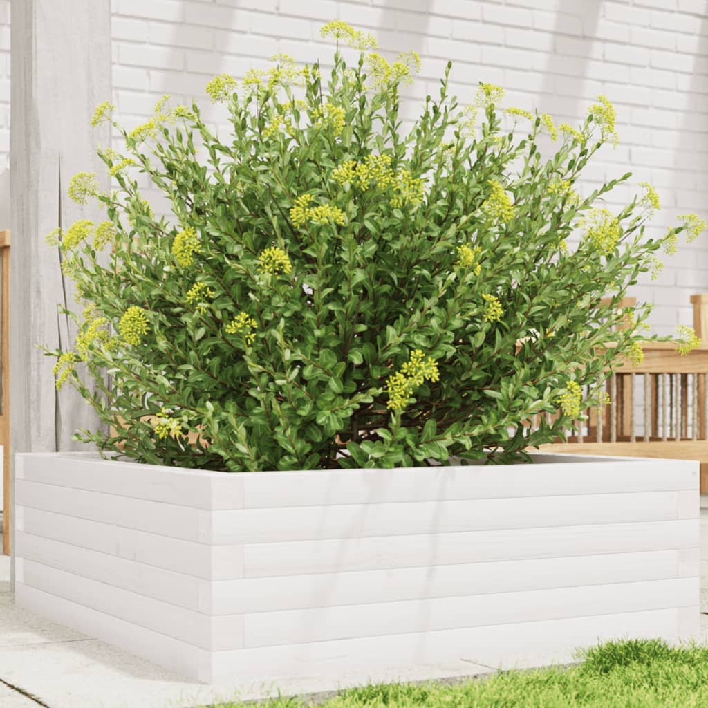 Vidaxl Planning Box 70x70x23 cm Pine solide blanc
