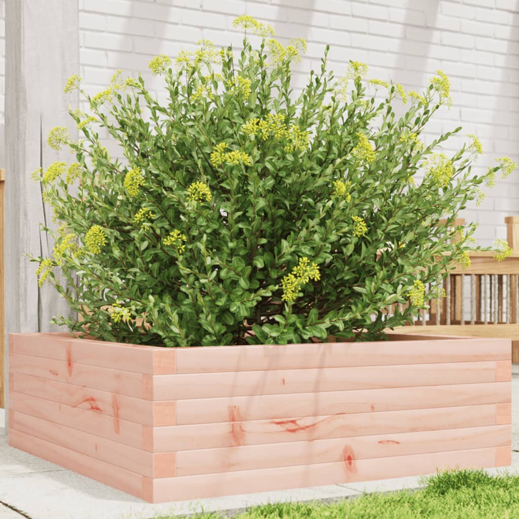 Vidaxl Planter Big 70x70x23 cm solide Douglashout
