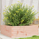 Vidaxl Planter Big 70x70x23 cm solide Douglashout
