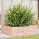 Boîte de planification vidaxl 80x80x23 cm Solide Douglashout