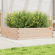 Boîte de planification Vidaxl 90x90x23 cm Pine solide