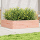 Vidaxl Planning Box 90x90x23 cm solide Douglashout