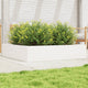 Boîte de planification Vidaxl 110x110x23 cm Pine solide blanc