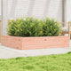 Vidaxl Planning Box 110x110x23 cm solide Douglashout