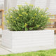 Vidaxl Planning Box 70x40x23 cm Pine solide blanc