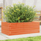 Boîte de planification Vidaxl 70x40x23 cm Solide Brown