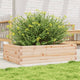 Vidaxl Plannbak 90x60x23 cm Pine solide