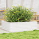 Boîte de planification Vidaxl 90x60x23 cm Pine solide blanc